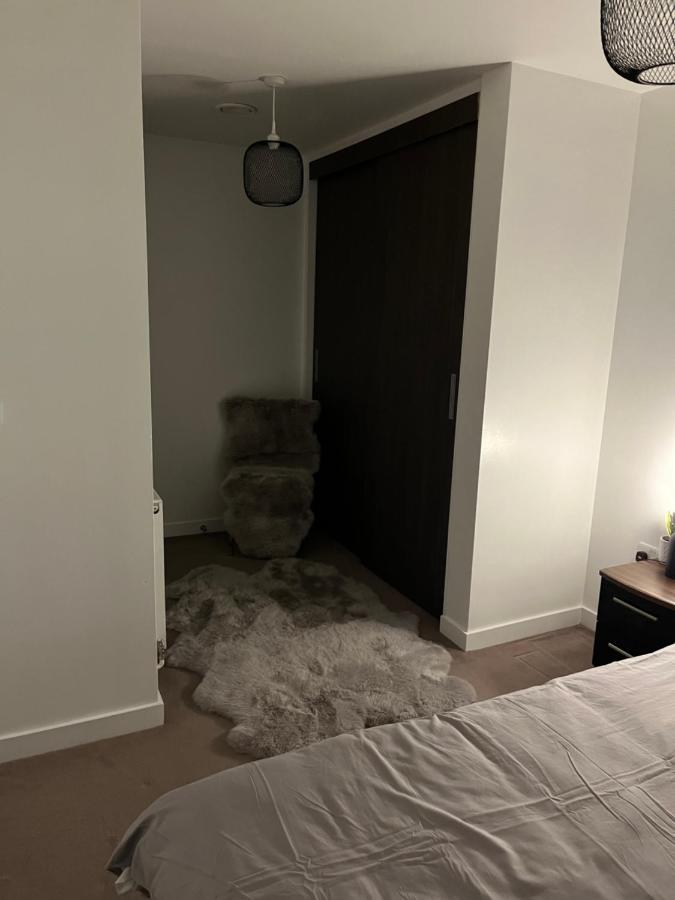 Luxurious Dlr Apartment London Kültér fotó